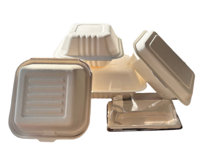 Introducing Eco-Friendly Sugarcane Bagasse Boxes for Takeaway Packaging