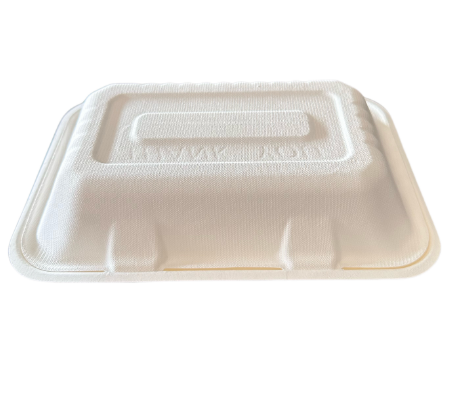 Bagasse 7