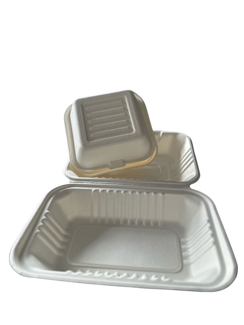 Bagasse burger box 