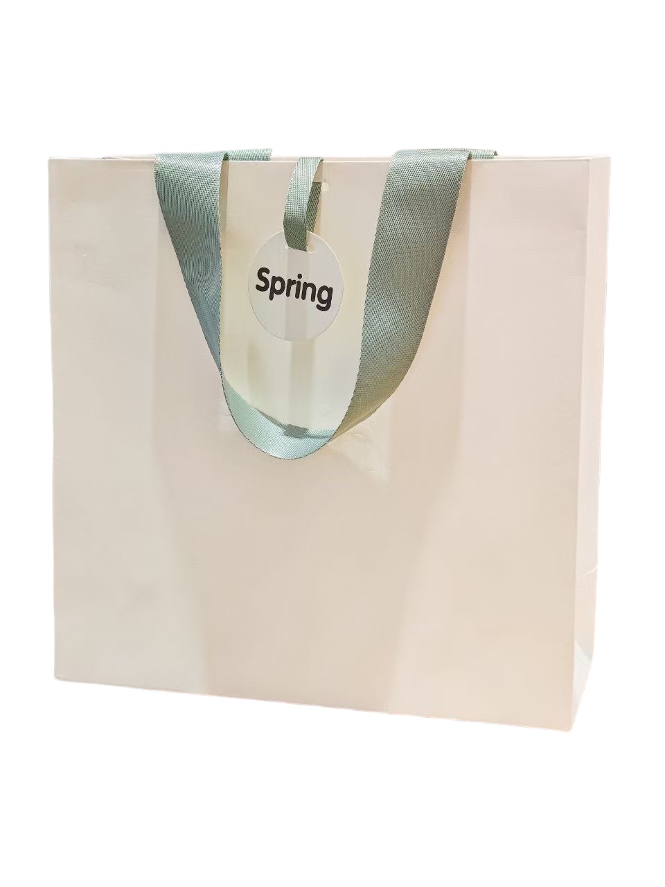 Luxury shopping bag with ribbon